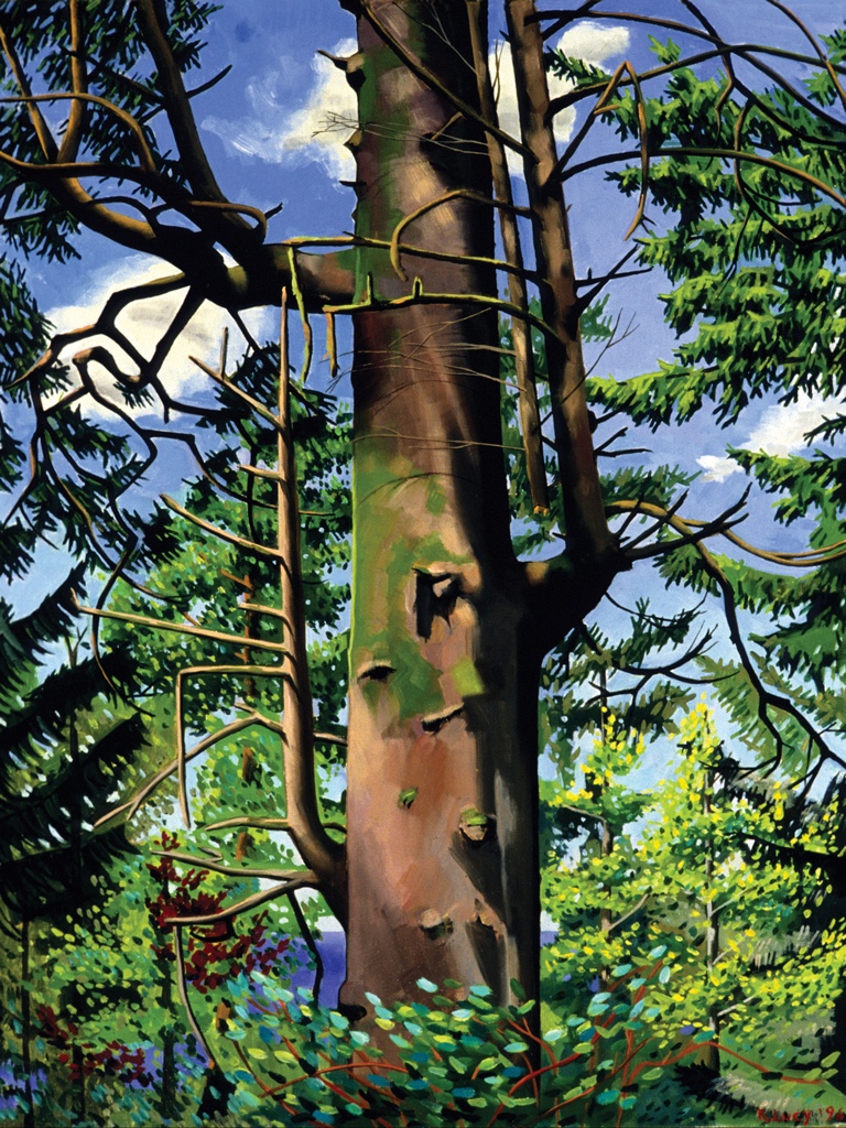 A painted tree trunk among branches against a blue sky.